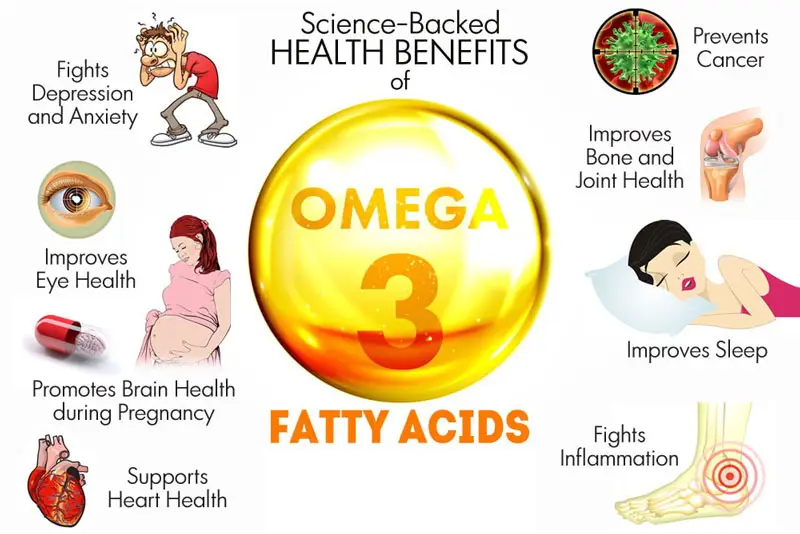 Omega-3-tac-dung-dem-lai-nhieu-loi-ich-cho-suc-khoe-tim-mach.webp